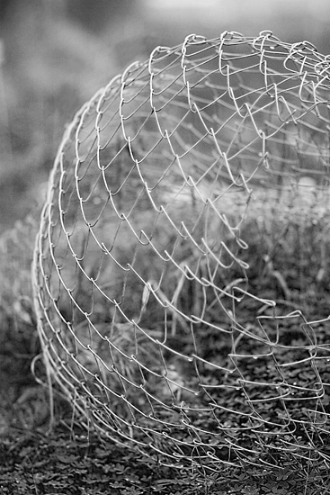 November 3 - Discarded Wire Abstract