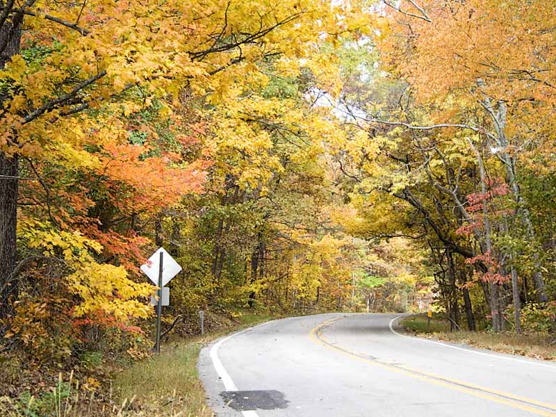 Pig Trail Scenic Byway photo dazzy photos at