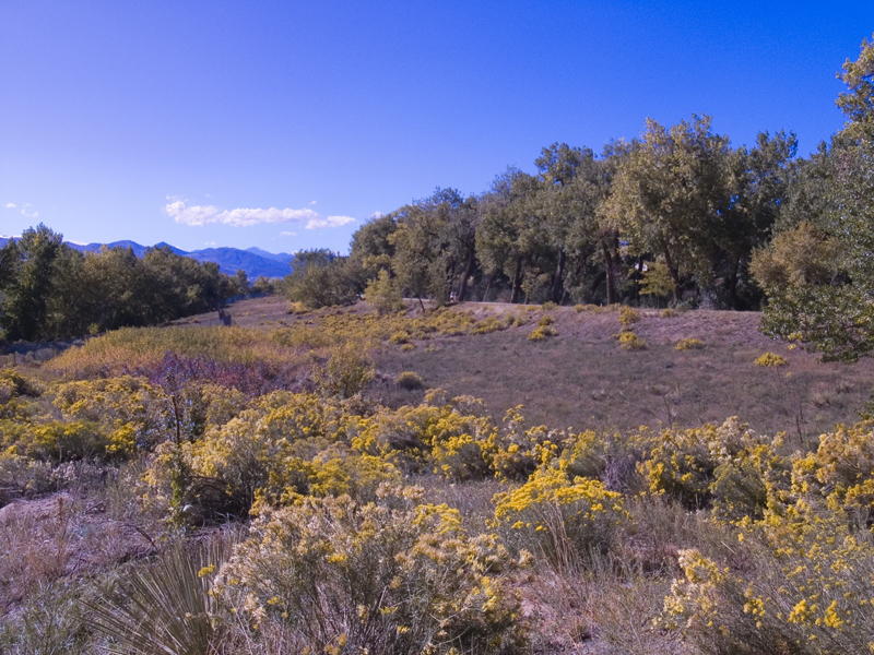 Highline Canal, Littleton Colorado