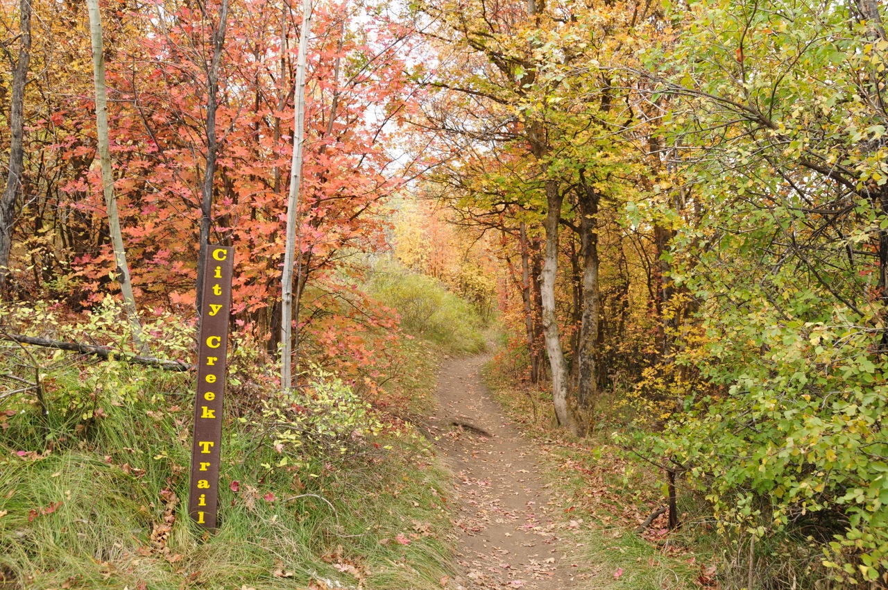 City Creek Trail Sign Autumn Scene _DSC1810.jpg