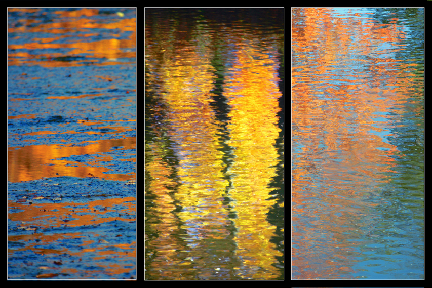 Fall colors triptych.
