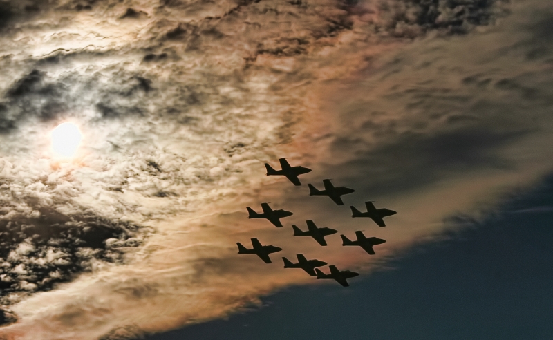 Snowbirds.jpg