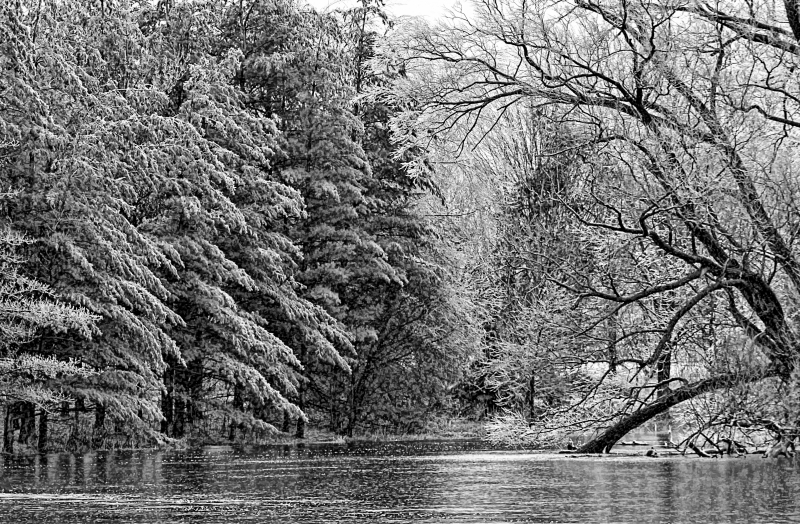 Ice Storm 20 BW