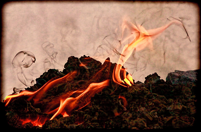 Fire 