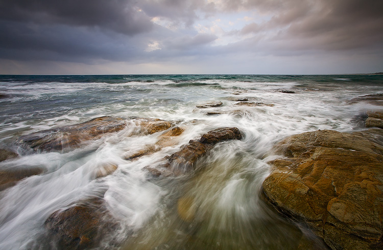 Wild Dawn