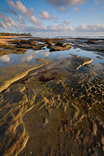 Coastal Fabric