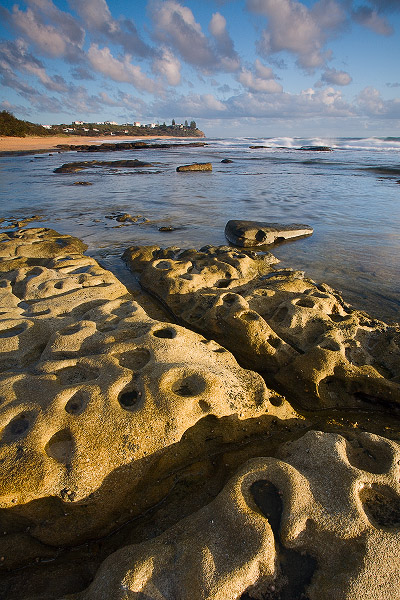 Shoreline Impressions