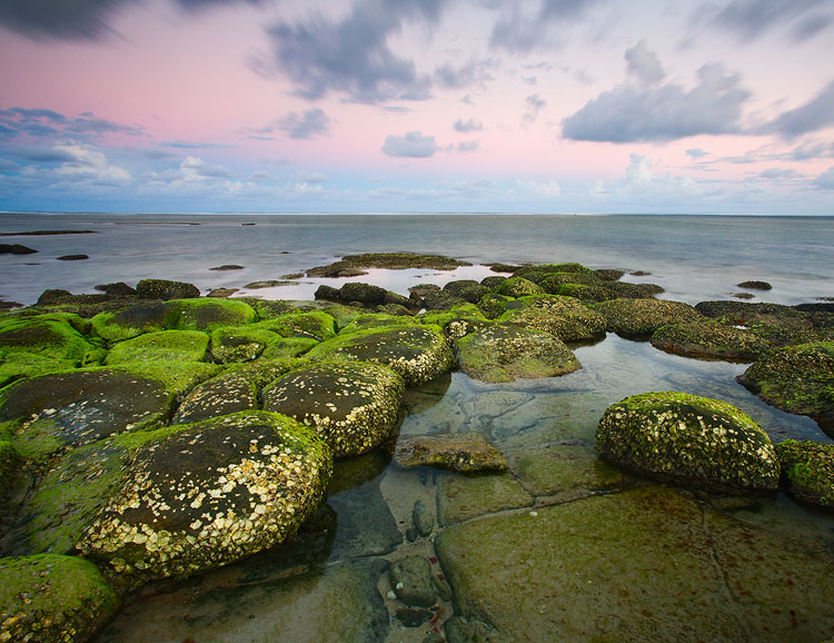Natural World
