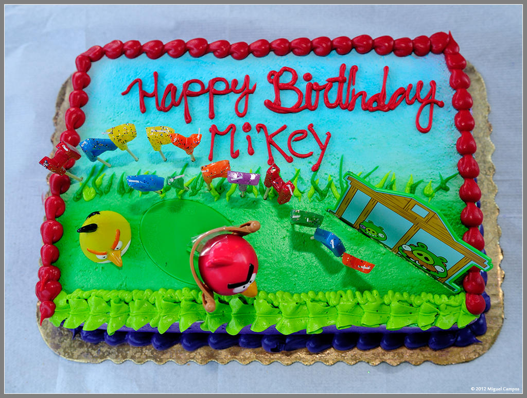 Mikeys 8th Birthday