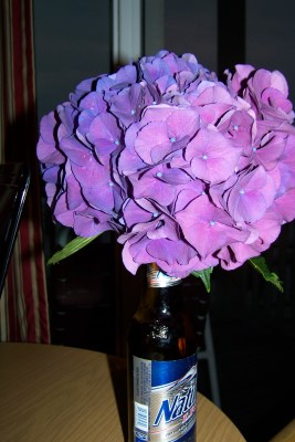 2009_trip