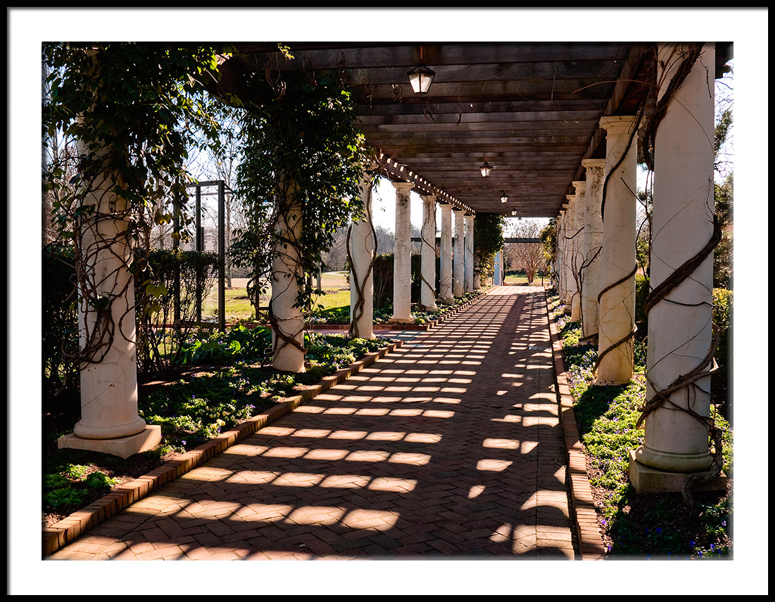 Walkway/Winter