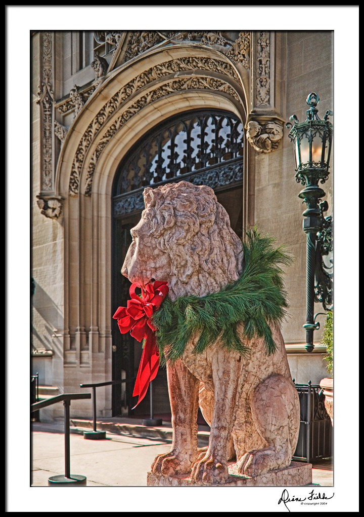 Biltmore Christmas Lion