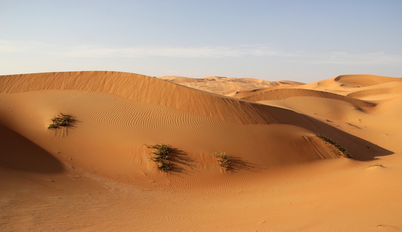 IMG_0222 Liwa Desert in Empty Quarter UAE