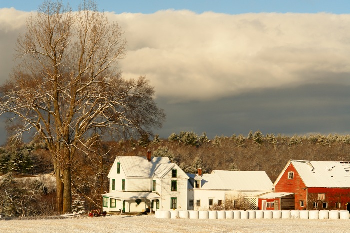 DSC09995.jpg32 i love this barn and have shot it in all seasons....see...