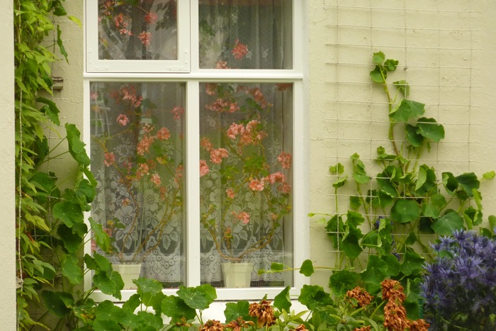 P1080755.jpg Iceland window :) see images of Ireland too...