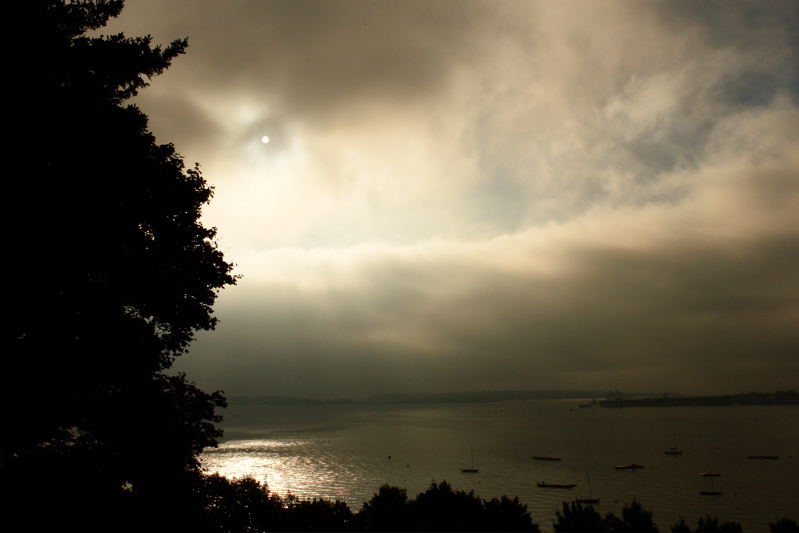 DSC01250.jpg