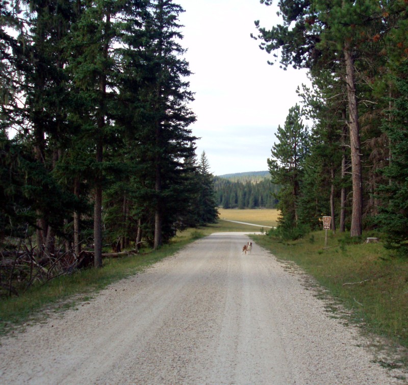 Besant Park