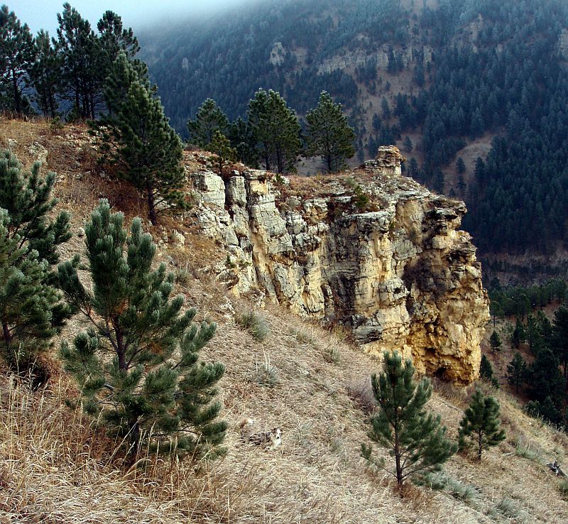 Whitewood Canyon