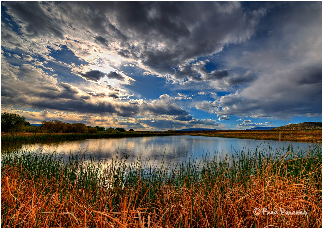 _DSC0638  Sedona Wetlands Project