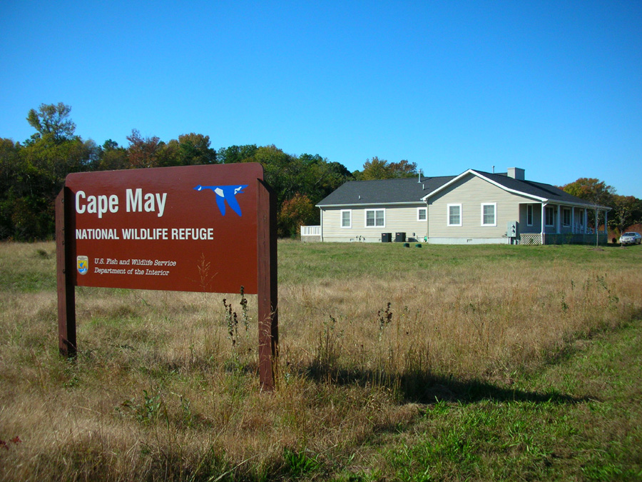 Cape May NWR NJ