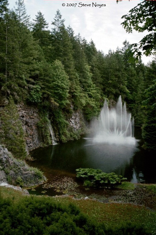 Butchart Gardens