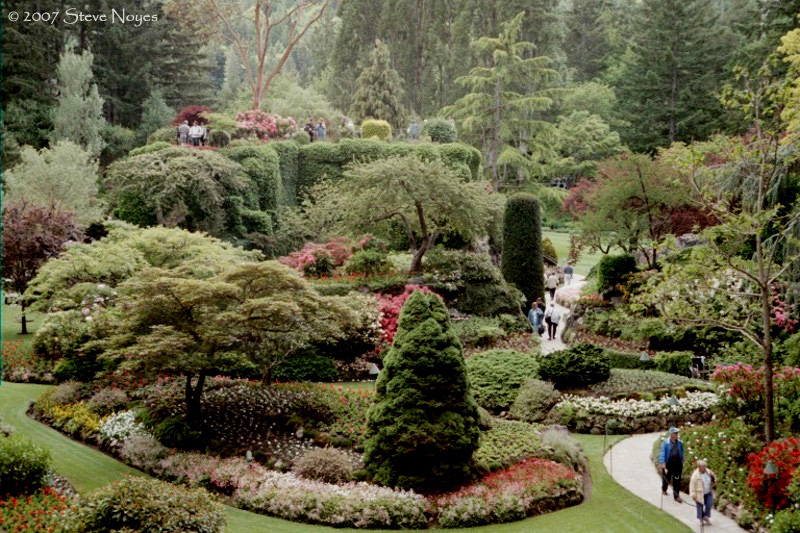 Butchart Gardens