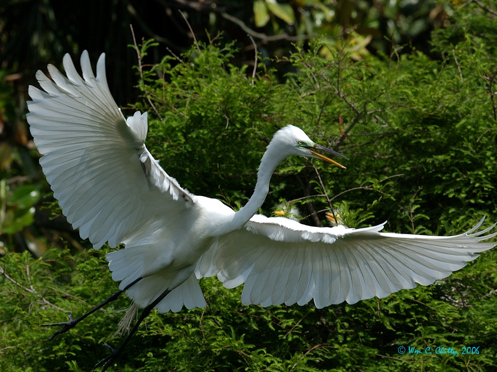Take off.jpg