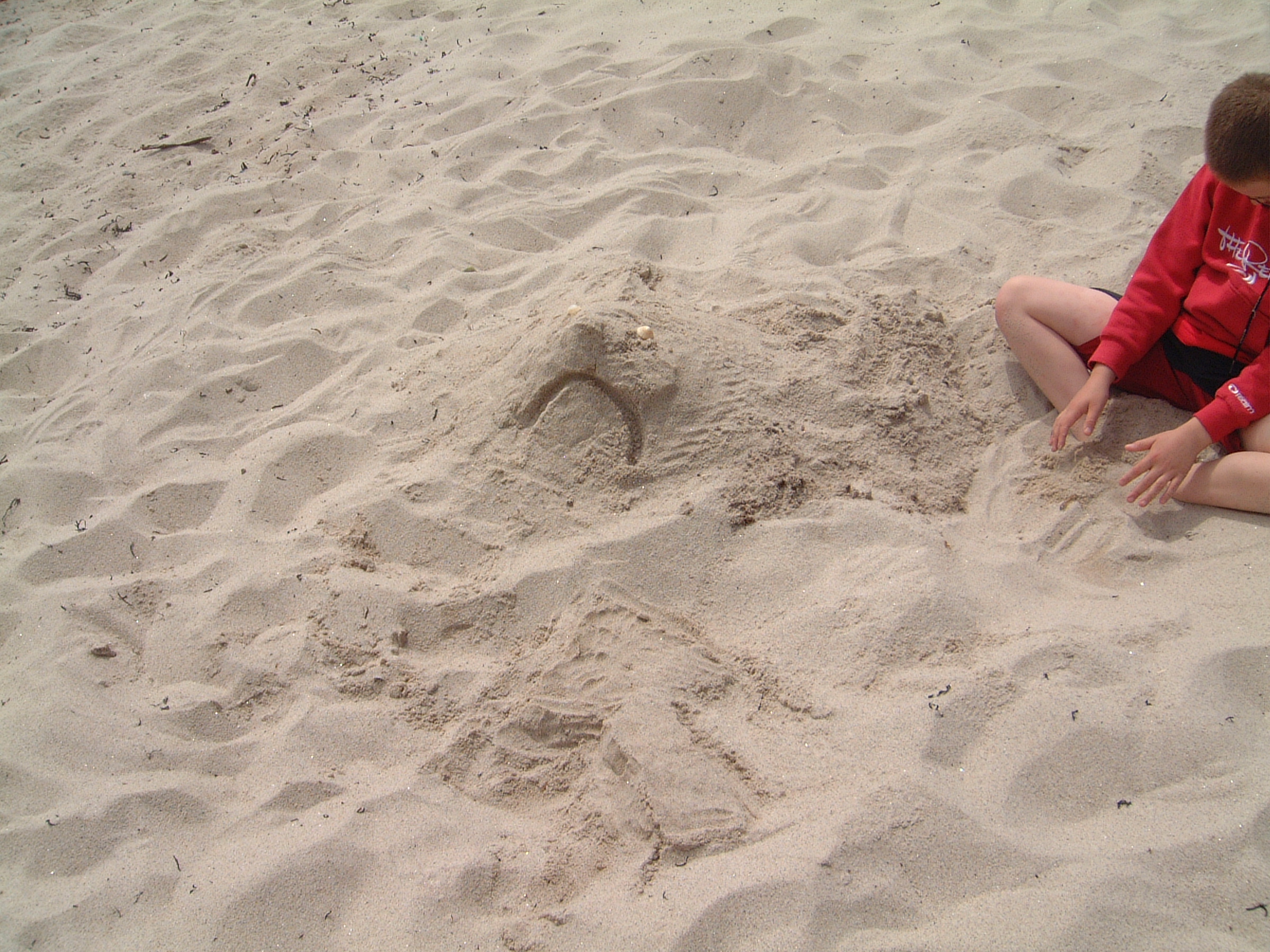 This way to the Great White Shark of St Agnes. Pound a look
