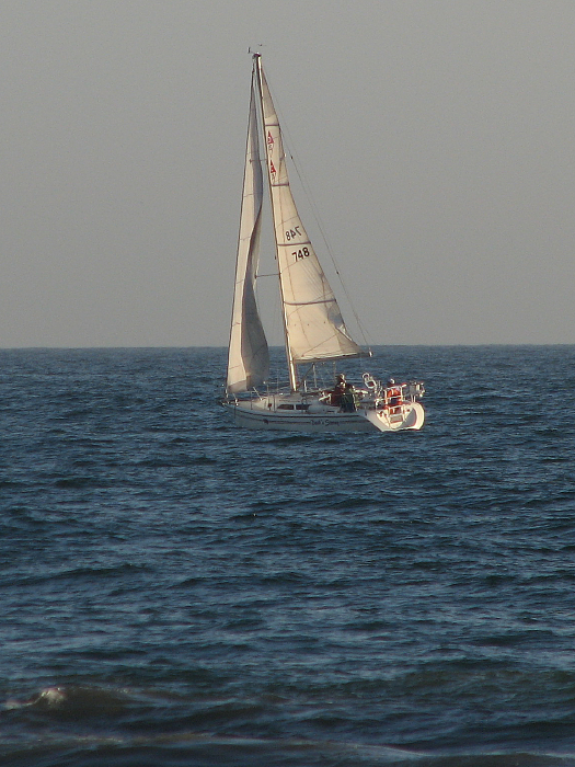 Sail Boat