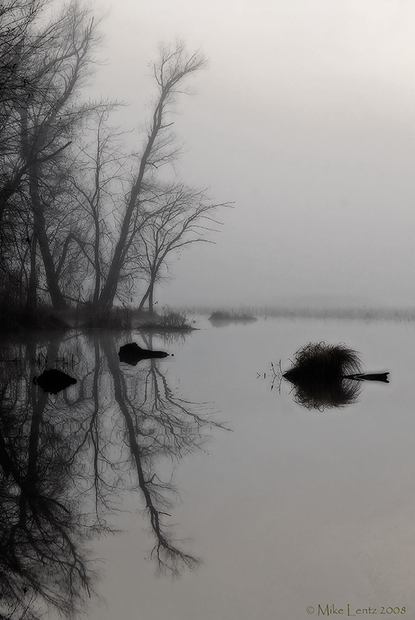 Misty mornings
