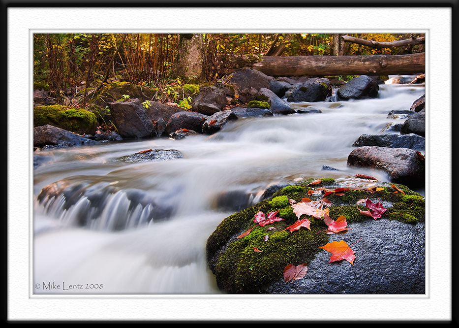 Autumn scene on the Honeymoon trail