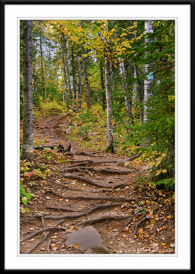 Cascade autumn trail