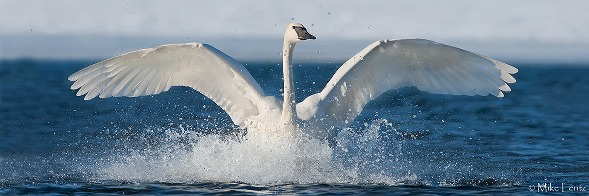 Splashdown