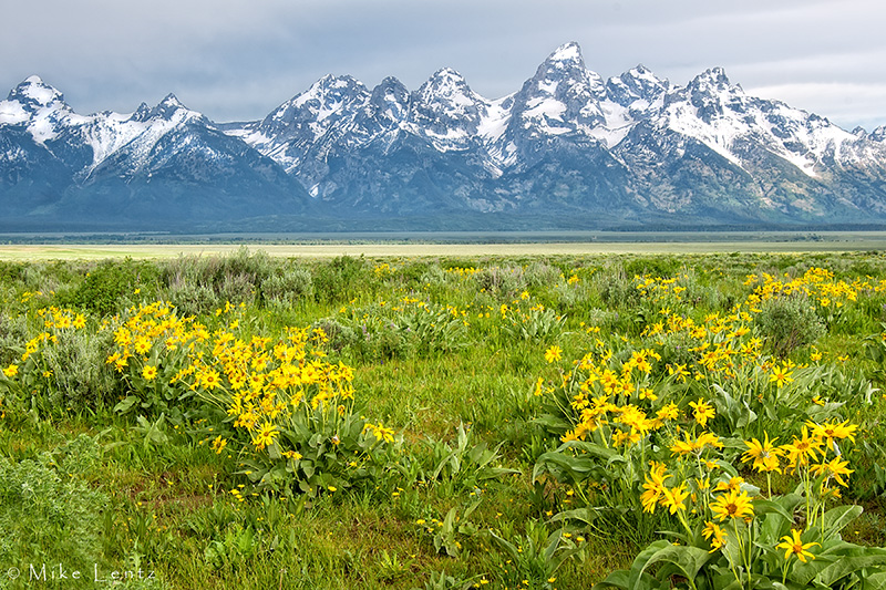 The Grand Tetons