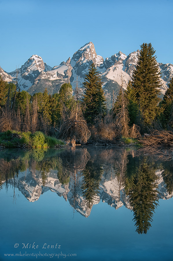 Teton reflections 