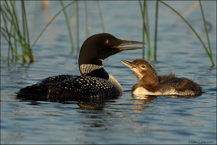 Intimate moment