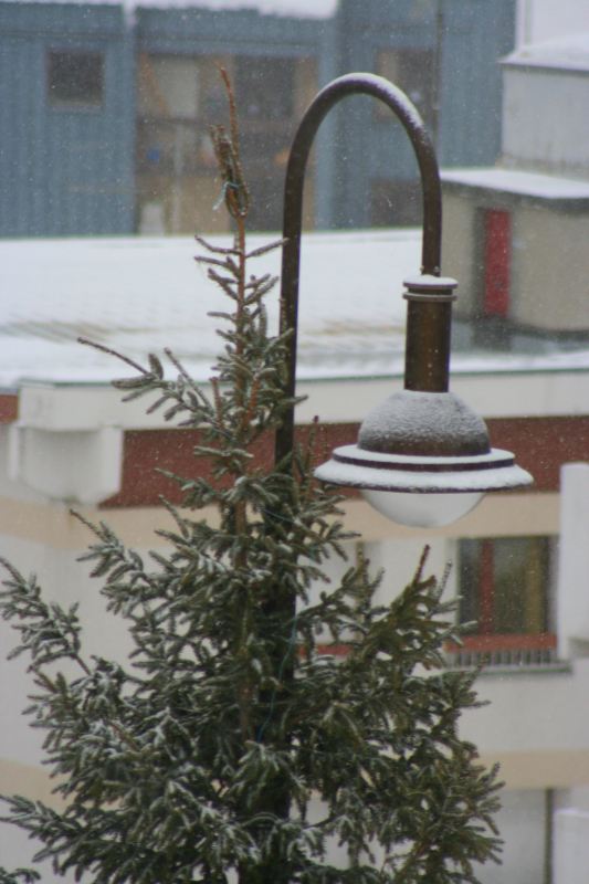 IMG_3580.jpg