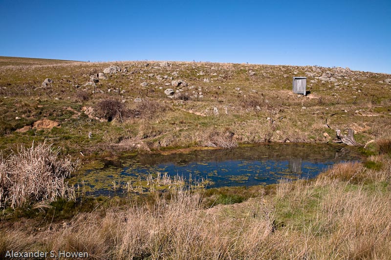 Dam and pumphouse