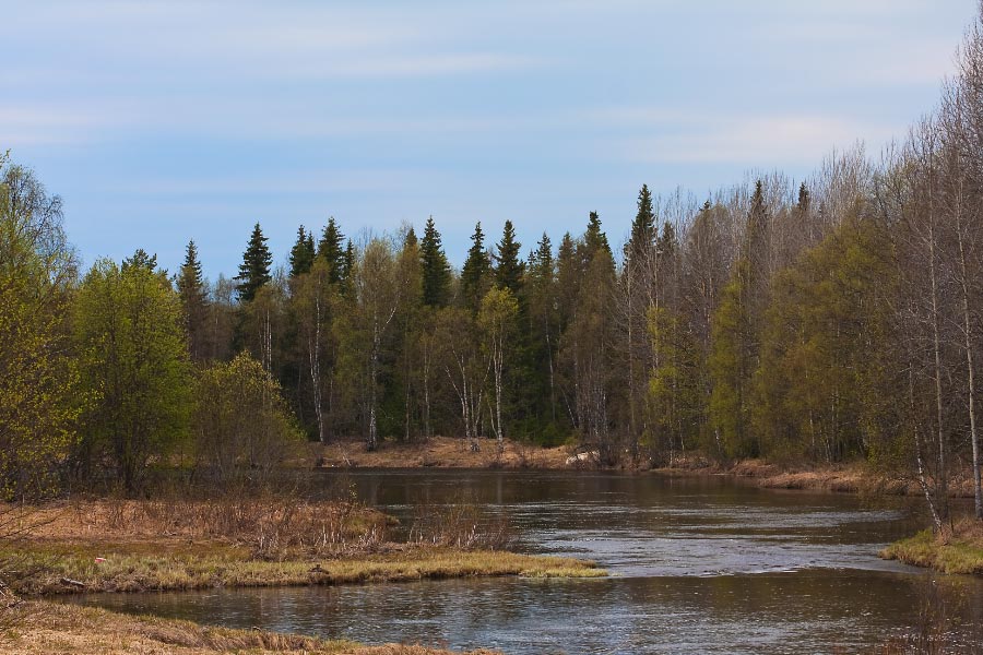 Kaakamojokki