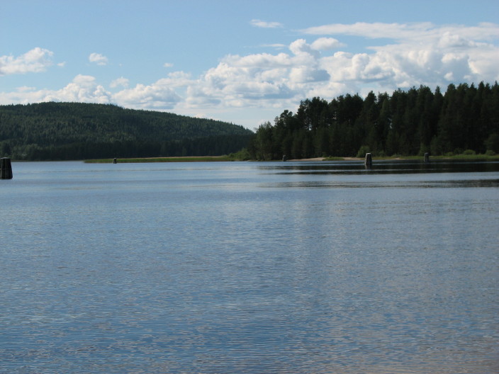 Pielinen I; Pulloselk