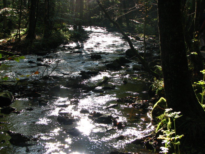 Skrn (A small creek)