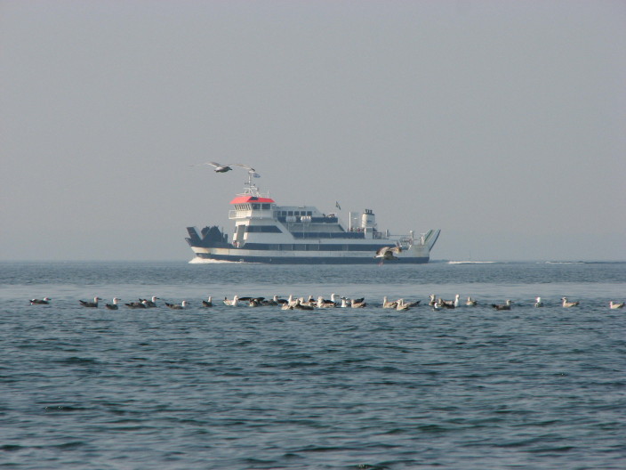 Ferry Stjrneborg