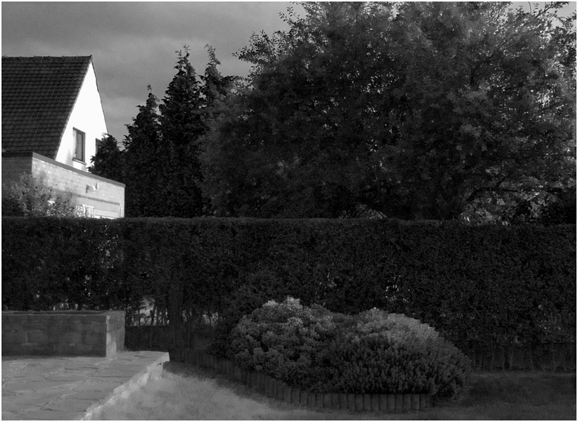 Ws and Ms houses