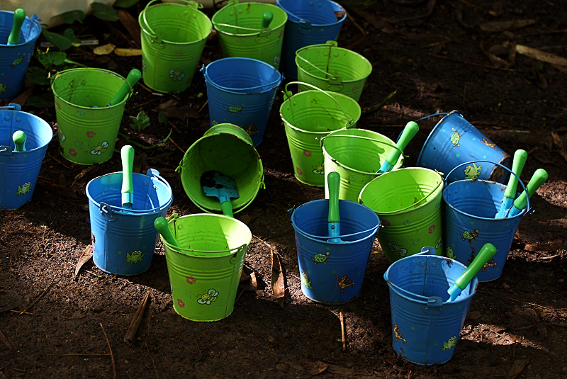Lets Plant!