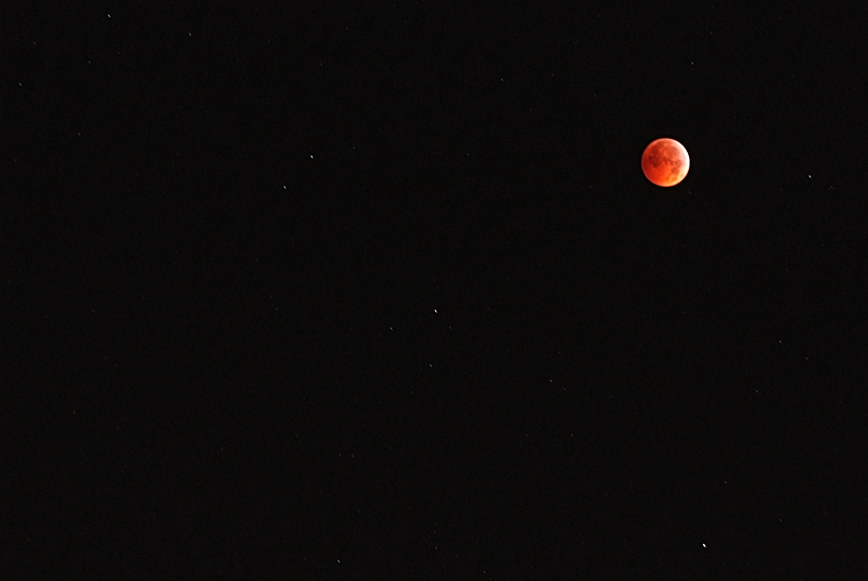 Gnight Moon