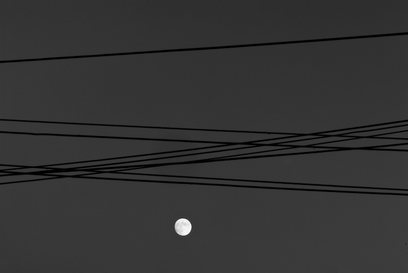 Day 194 <br/> Criss-crossed