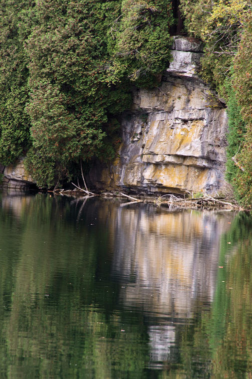 Reflections #1