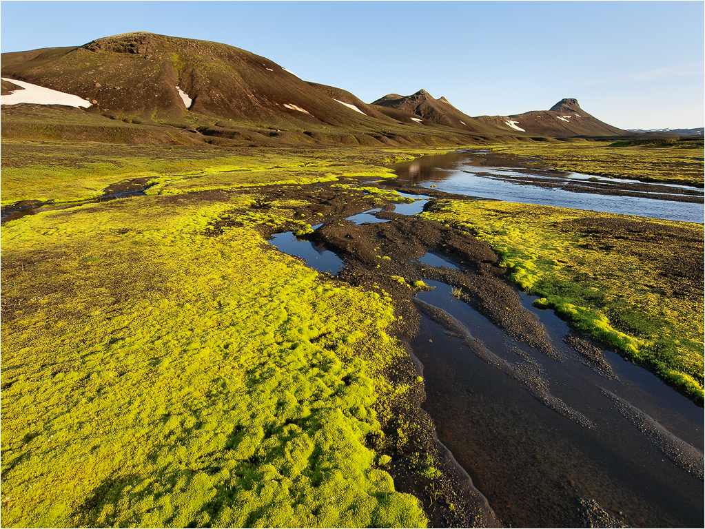 Green banks