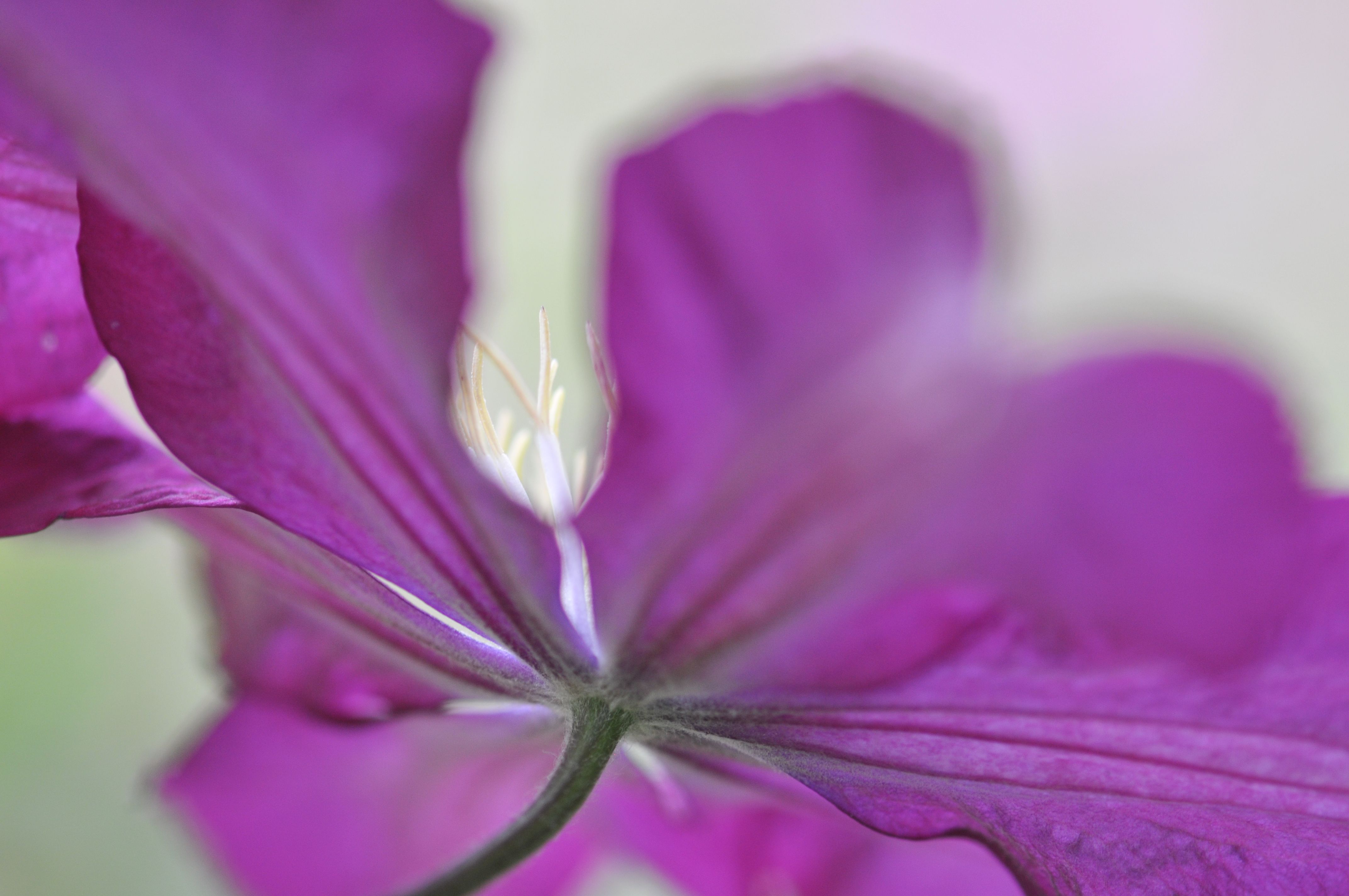 DSC_5922.jpg