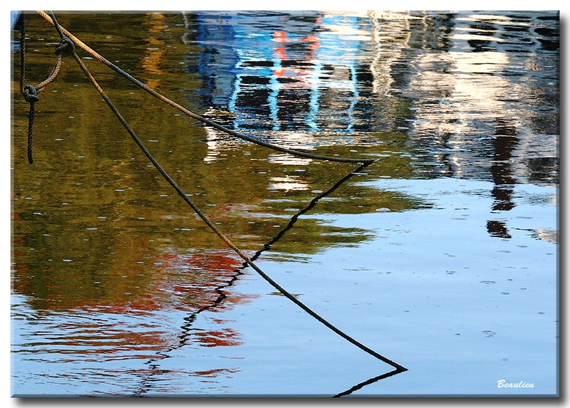 gallerie pbase_002.jpg